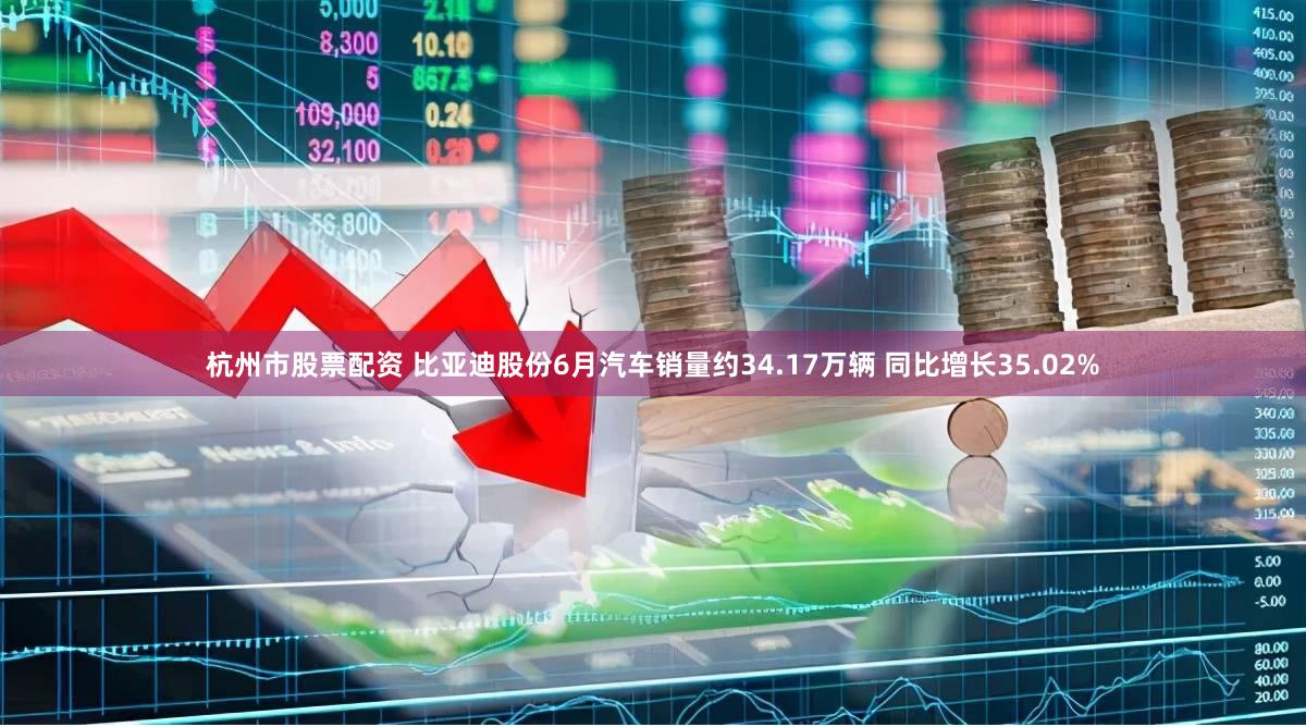杭州市股票配资 比亚迪股份6月汽车销量约34.17万辆 同比增长35.02%