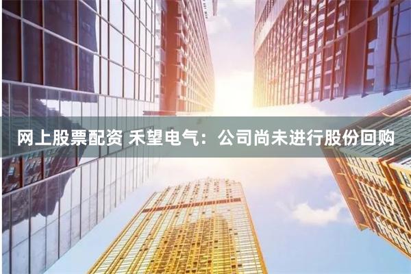 网上股票配资 禾望电气：公司尚未进行股份回购