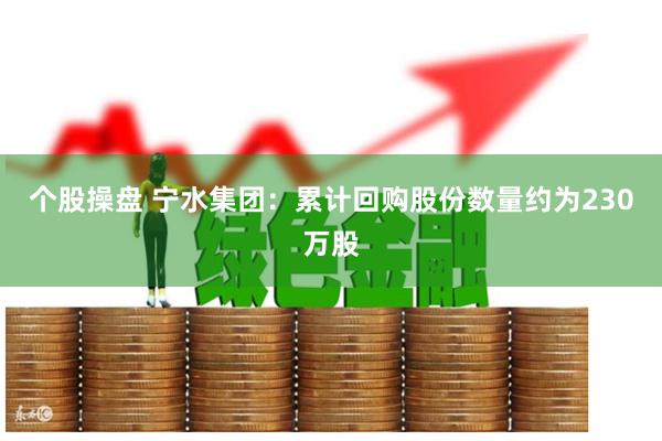 个股操盘 宁水集团：累计回购股份数量约为230万股